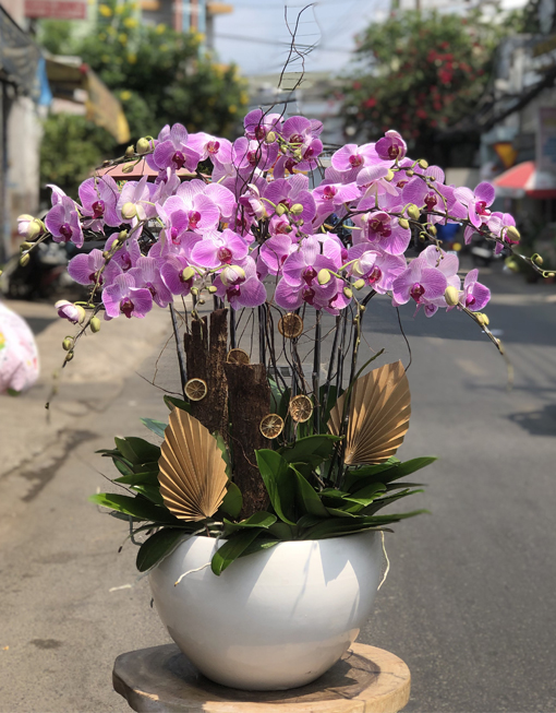 Hoa-Lan-Ho-Diep-32-13-Canh-3.640.000